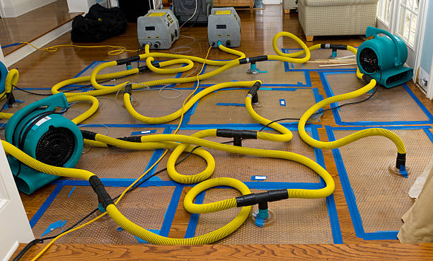 Professional Structural Drying And Dehumidification technician working in Ecorse, MI